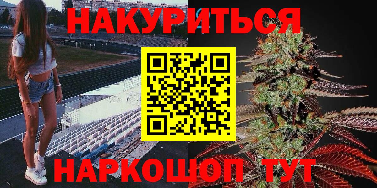 Конопля планчик Северск
